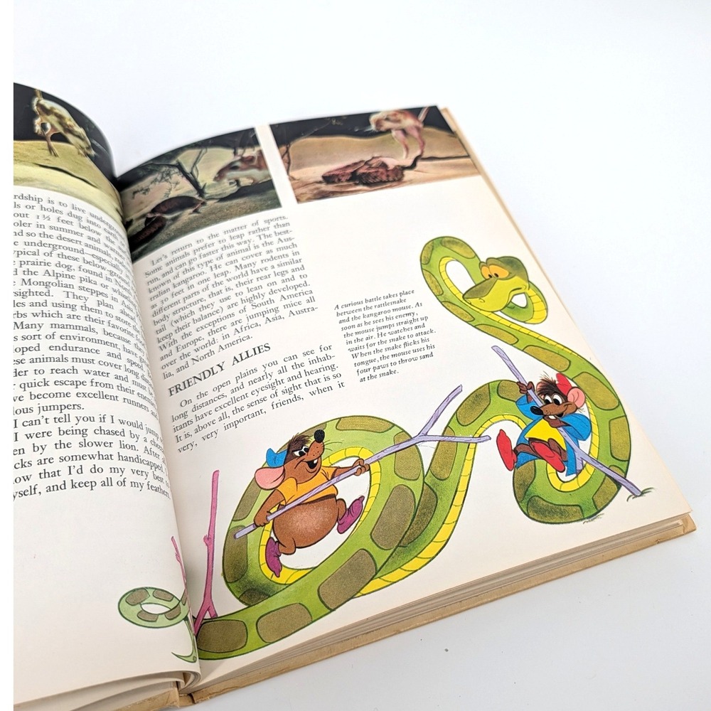Disney Wonderful World of Knowledge Vol 1 Vintage 1971 Nature Animals Book - Picture 6 of 11